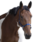 Equithème - Licol en nylon bleu roi | - Ohlala