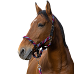 Equithème - Gevlochten halster en leilijn fuchsia/hemelsblauw/marine | - Ohlala