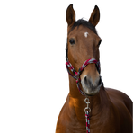 Equithème - Gevlochten halster en leilijn fuchsia/grijs/zwart | - Ohlala