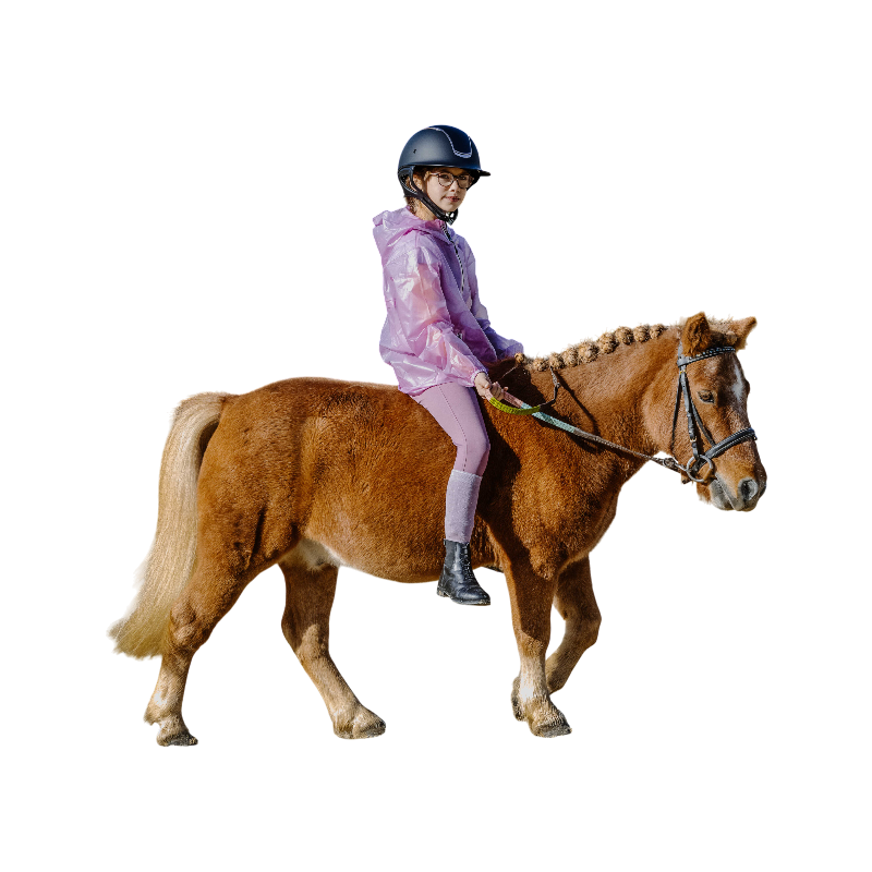 Equithème - Spodnie do jazdy konnej junior Carly liliowe | - Ohlala