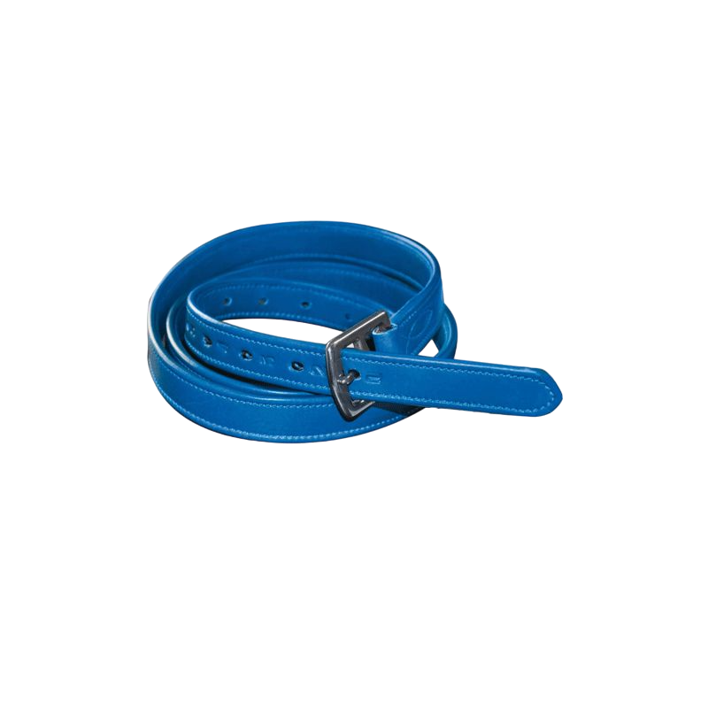 Flags &amp; Cup - Stirrup leathers in covered nylon and electric blue leather