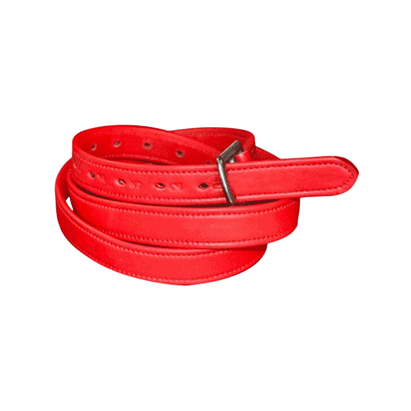 Flags &amp; Cup - Covered nylon and red leather stirrup leathers