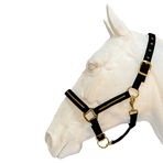 Flags & Cup - Nossa black halter and lead rope | - Ohlala