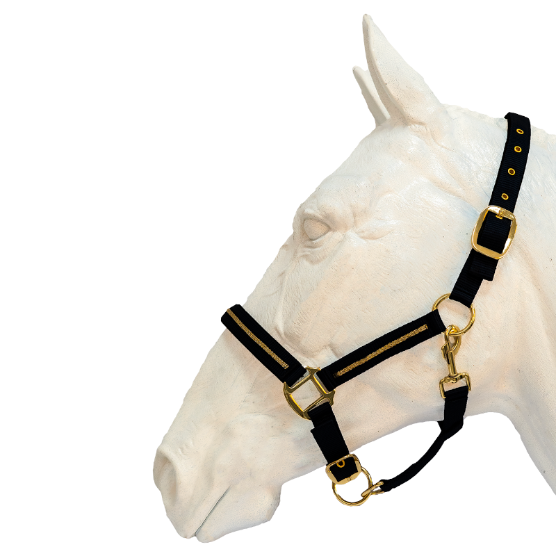 Flags & Cup - Black halter and lead rope Nossa 
