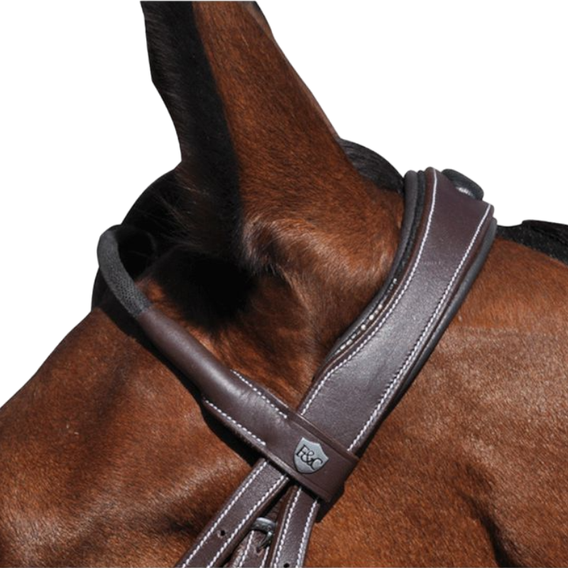 Flags &amp; Cup - Doha bridle with brown reins