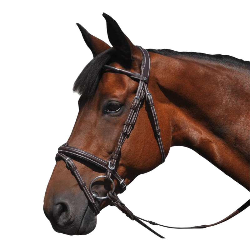Flags &amp; Cup - Doha bridle with brown reins