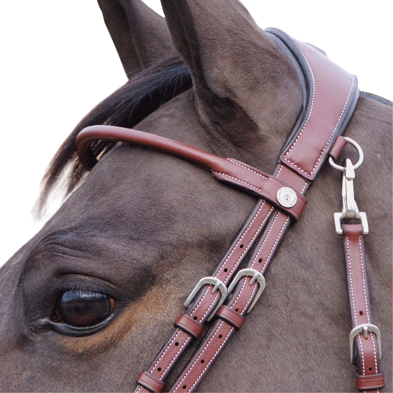 Flags &amp; Cup - Brown Madrid Bridle