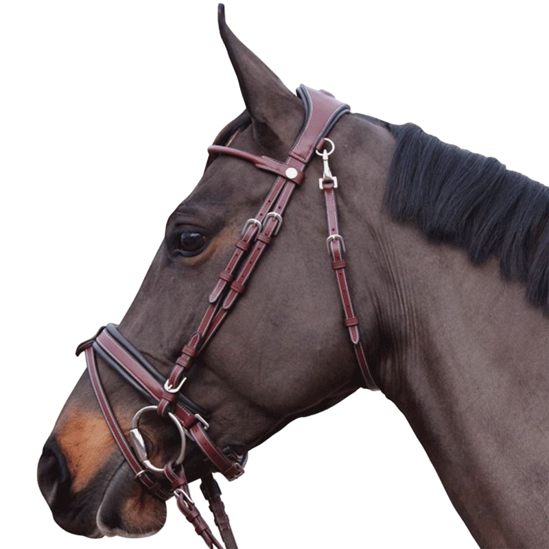 Flags &amp; Cup - Brown Madrid Bridle