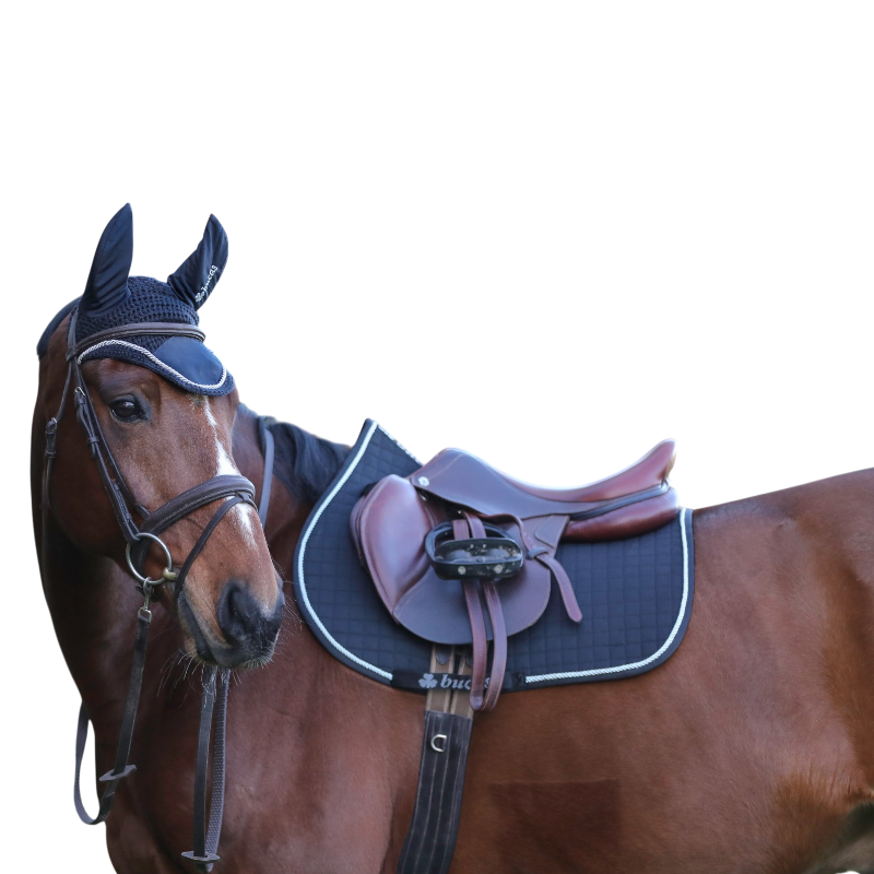Bucas - Fly Navy/Gold Ear Bonnet