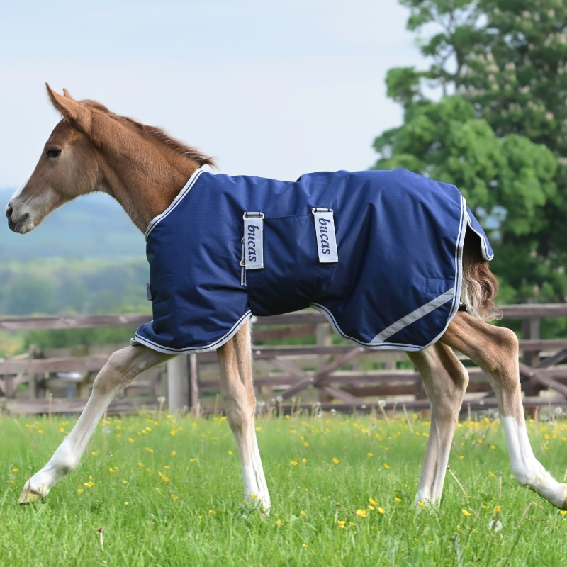 Bucas - Foal Turnout 50 Navy/Silver 50g Outdoor Rug