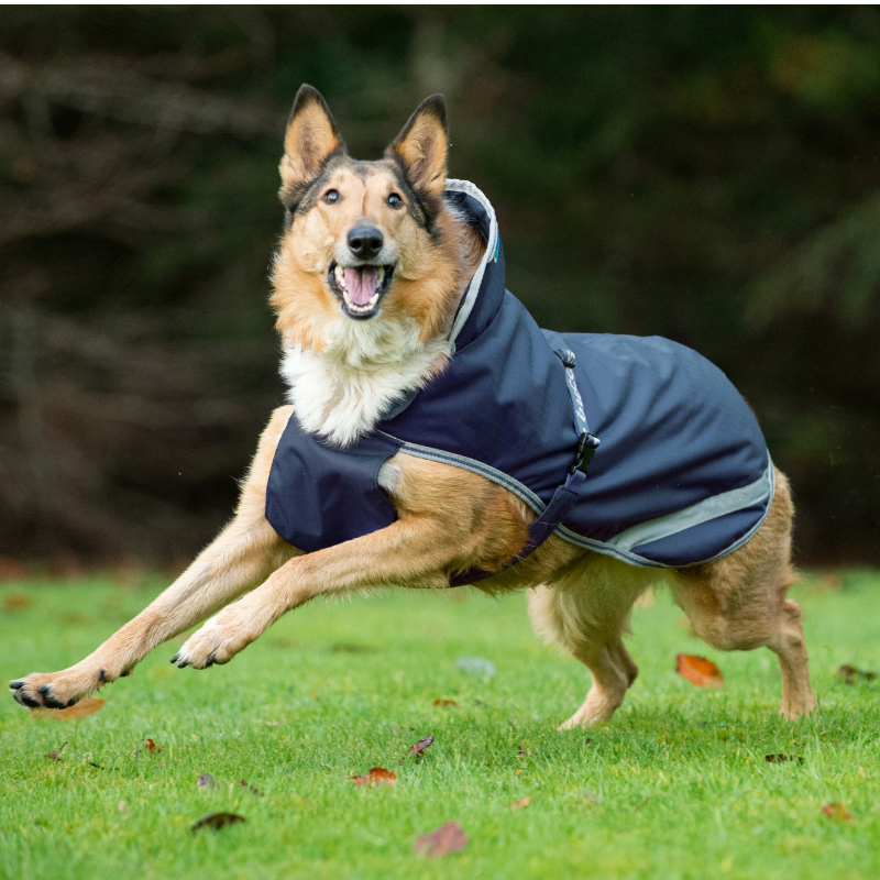 Bucas - Coperta per cane Freedom marine/ silver
