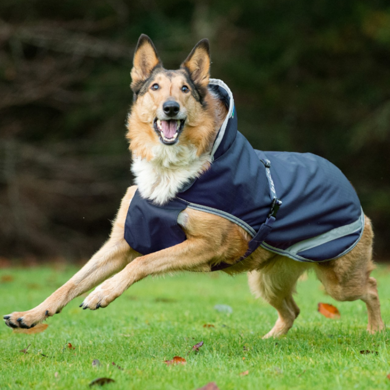 Bucas - Coperta per cane Freedom Marine/Silver 150g