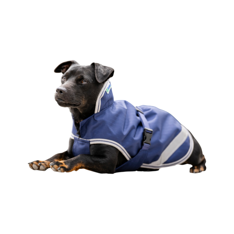 Bucas - Coperta per cane Freedom Marine/Silver 150g