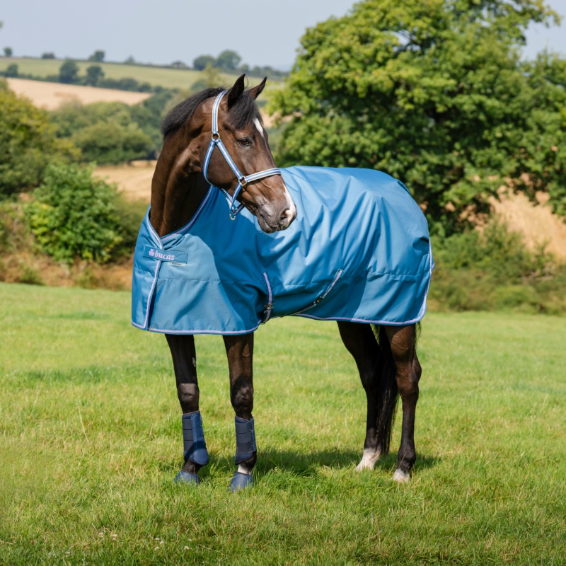 Bucas - Derka zewnętrzna Freedom Turnout Blueberry 50g