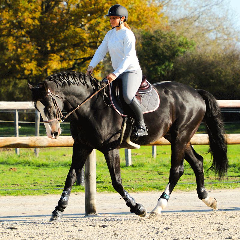 Jump'In - Pantalon d'équitation femme Super X Gris | - Ohlala