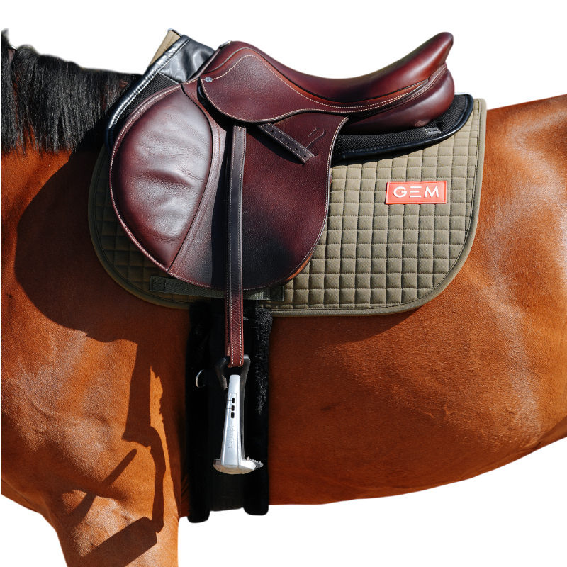 GEM - Tapis de selle Leo kaki