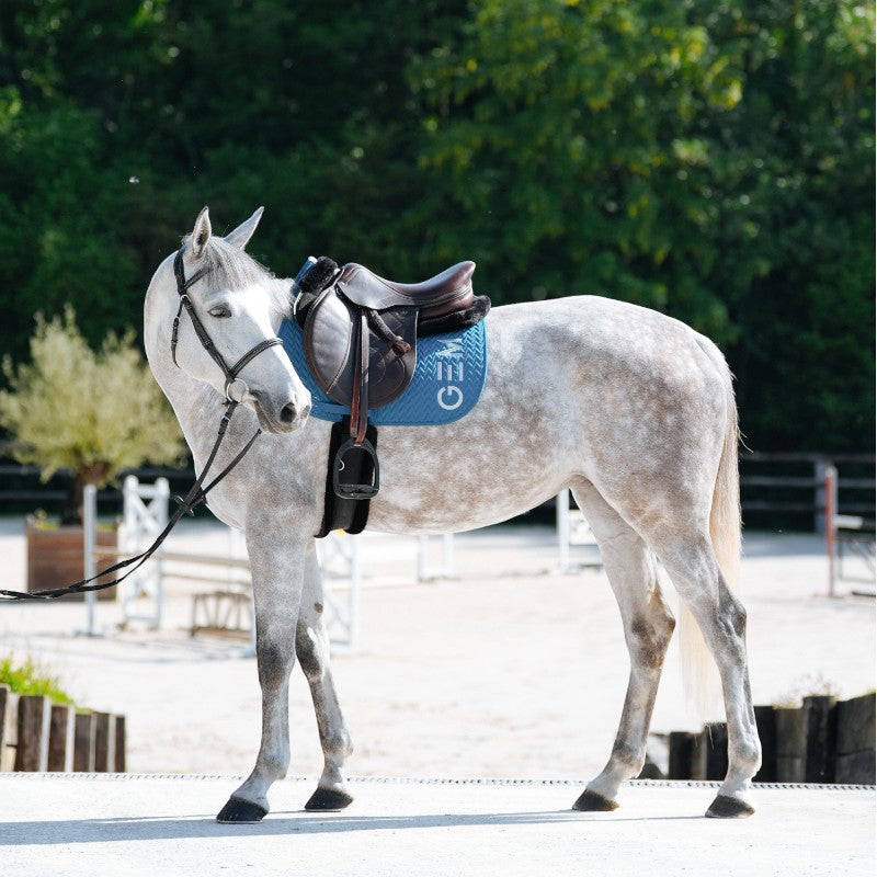GEM - saddle pad Ten petrol blue 