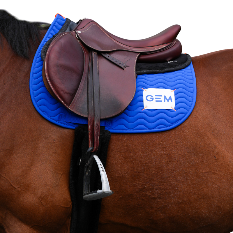 GEM - Tapis de selle Touc Touc bleu roi | - Ohlala