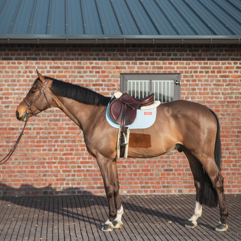 GEM - saddle pad Sky blue Leo 