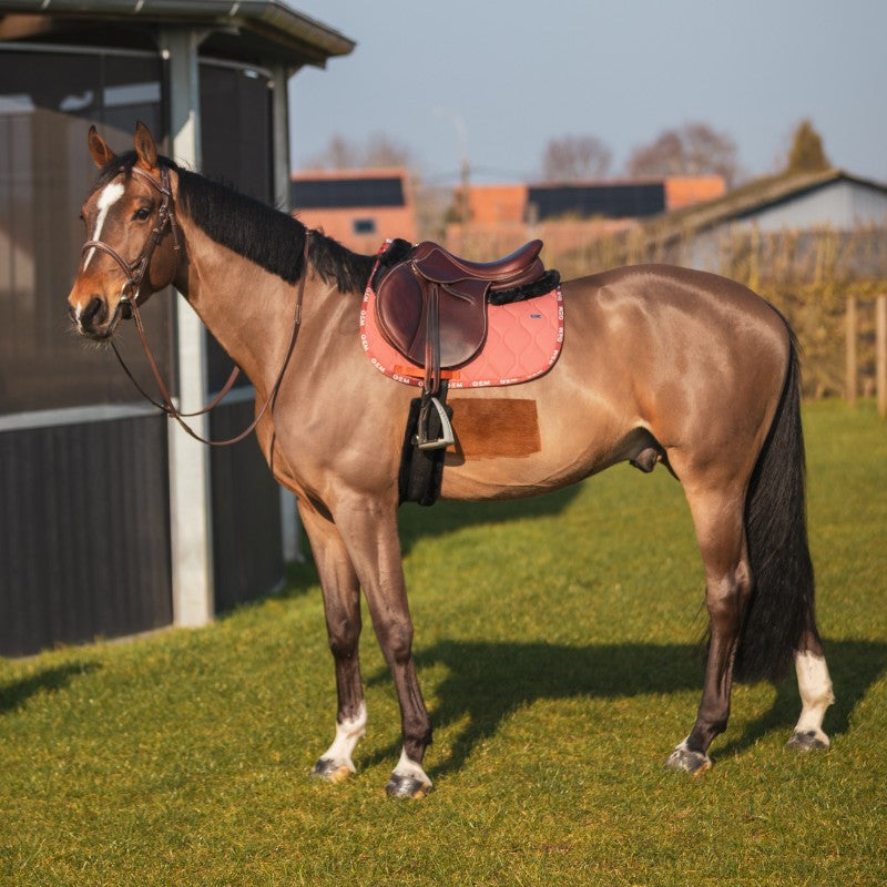 GEM - saddle pad Rust love 