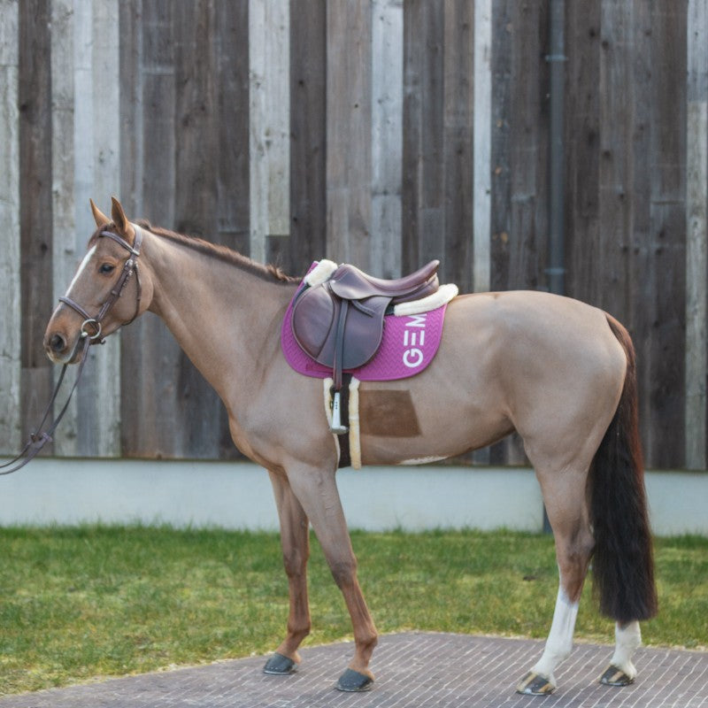 GEM - saddle pad Ten raspberry 