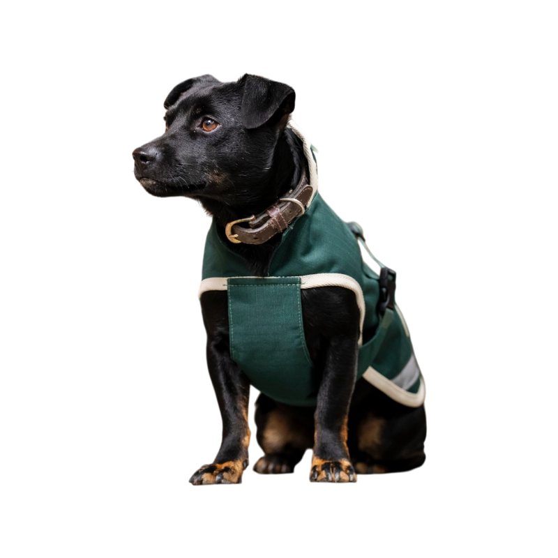 Bucas - Greenline Dog Rug Green/Cream