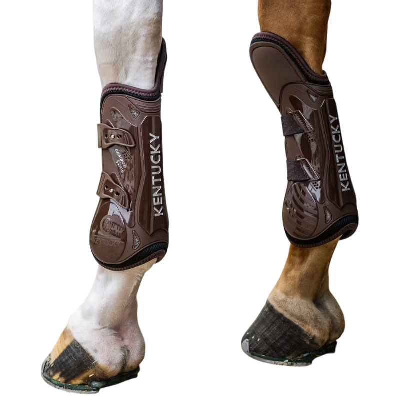 Kentucky Horsewear - Guêtres Elastic protection genoux marron | - Ohlala