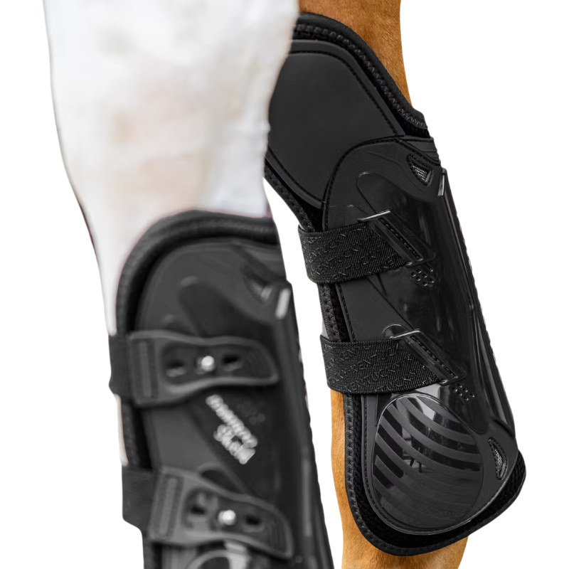 Kentucky Horsewear - Elastic protection kniebeschermers zwart | - Ohlala