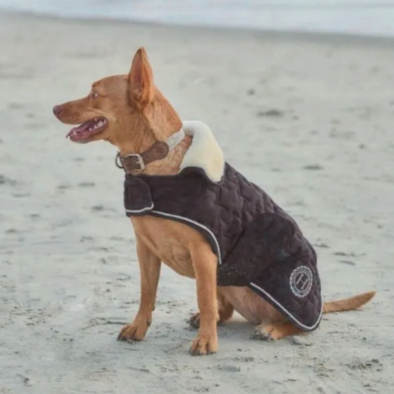 Harcour - Couverture pour chien Bernie USA noir