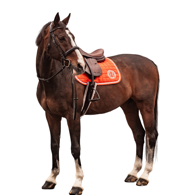 Harcour - Tapis de selle Siriel orange