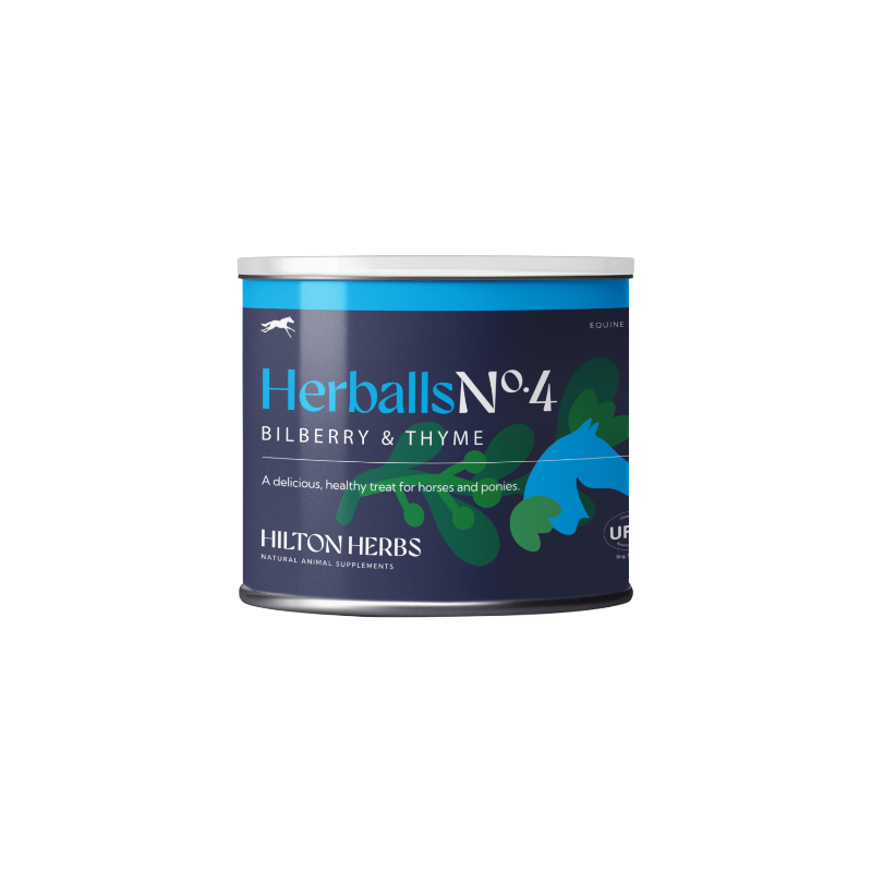 Hilton Herbs - Friandises pour chevaux naturelles Herballs N°4 myrtille/ thym