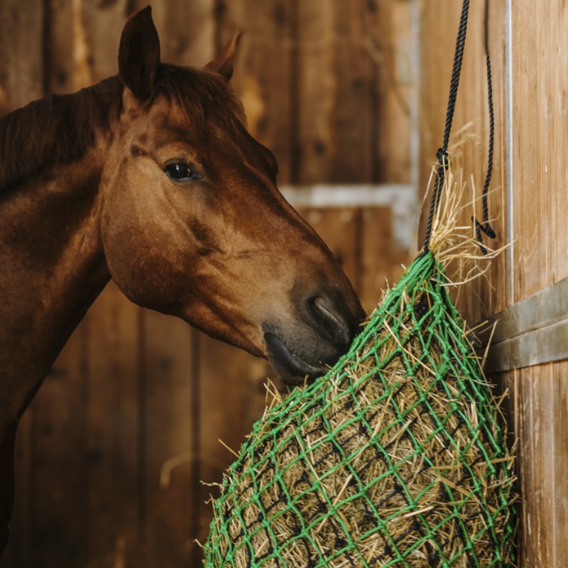 Hippotonic - Double green/black hay net 