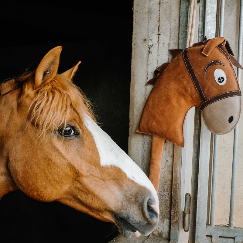 Hippotonic - Giocattolo per cavalli Hobby Horse marrone