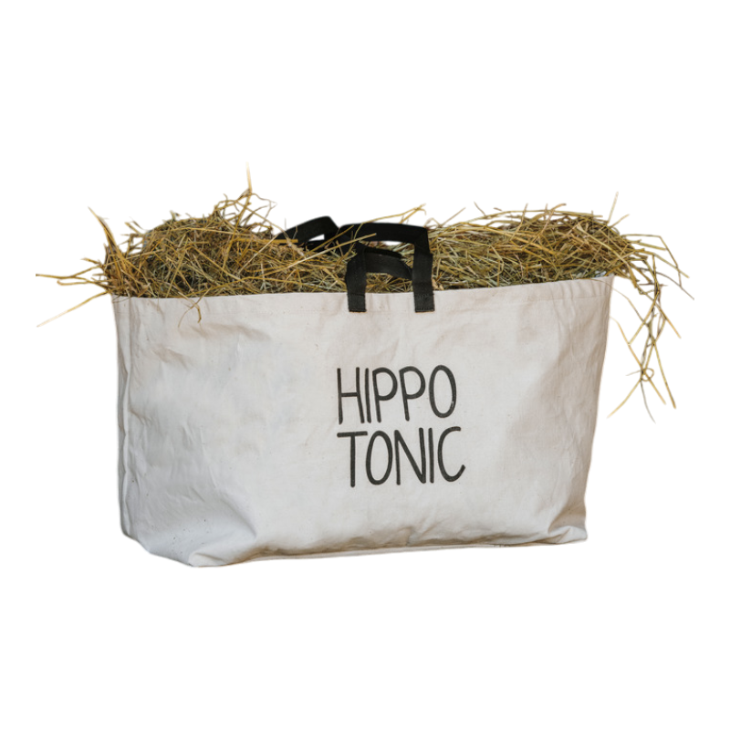 Hippotonic - Beige canvas transport bag 