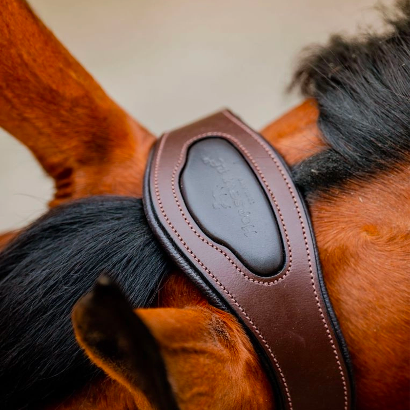 Horseware - Licol pour chevaux Signature Competition marine/ marron | - Ohlala