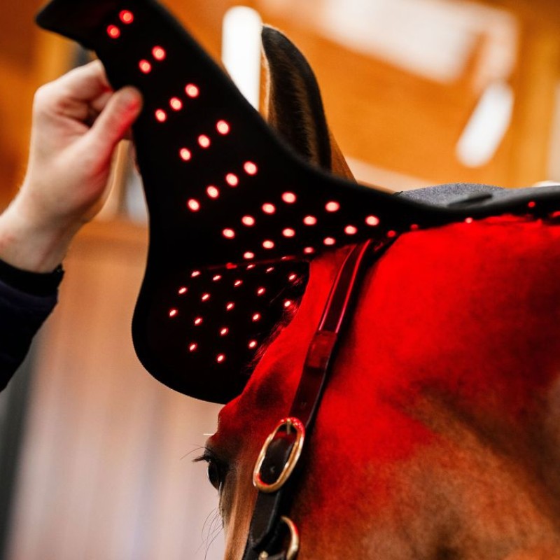 Horseware - Red LED light therapy ear bonnet | - Ohlala