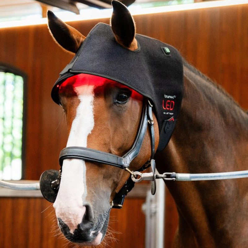 Horseware - Red LED light therapy ear bonnet | - Ohlala