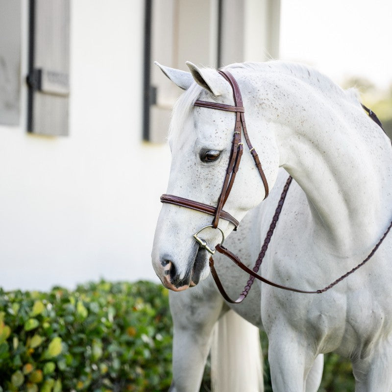 Horseware - Cavezza Cavesson Hunter Pony con redini dark tan | - Ohlala