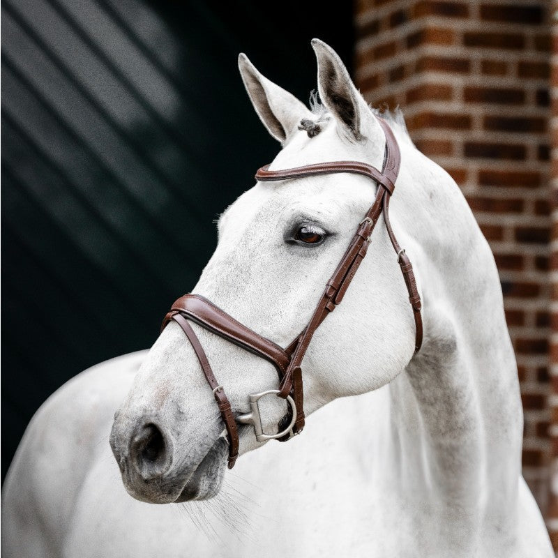 Horseware - Bridon Dressage Flash marron | - Ohlala