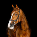 Horseware - Ogłowie Micklem Competition ciemny havane | - Ohlala
