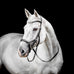Horseware - Ogłowie Micklem Competition czarne | - Ohlala