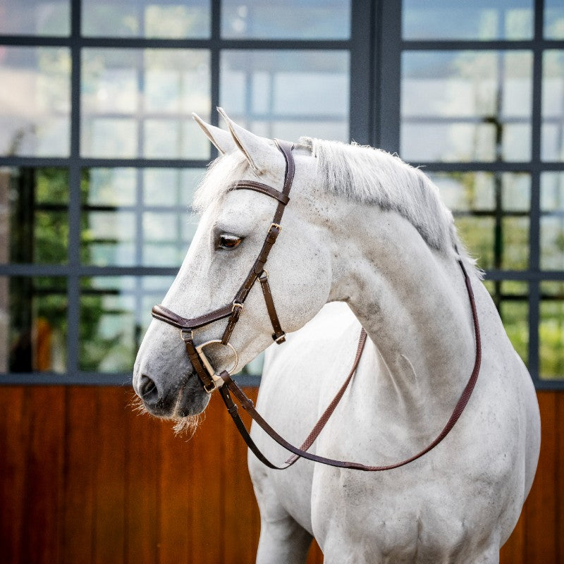 Horseware - Micklem Deluxe Competition Trense dunkelbraun | - Ohlala