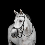 Horseware - Micklem Deluxe Competition Trense schwarz | - Ohlala