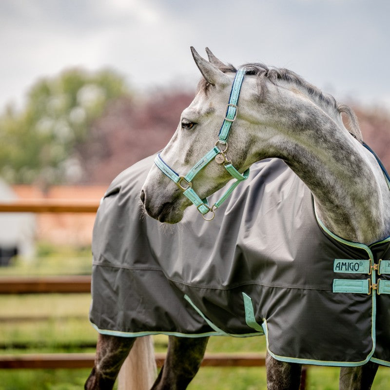 Horseware - Couverture d'extérieur Amigo Hero Ripstop shadow/ bluehaze/ marine 50g | - Ohlala
