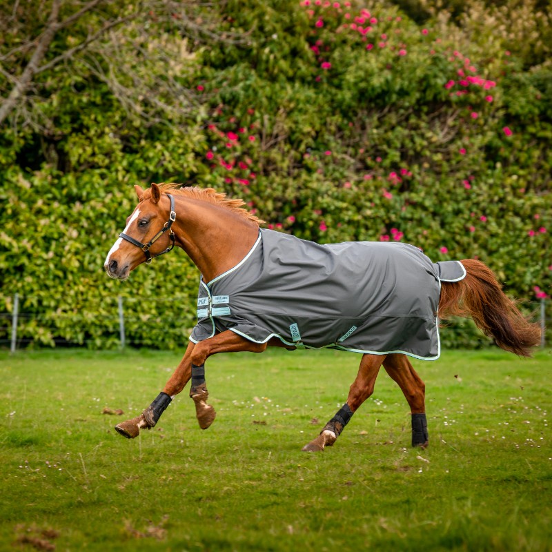 Horseware - Couverture d'extérieur Amigo Hero Ripstop shadow/ bluehaze/ marine 50g | - Ohlala