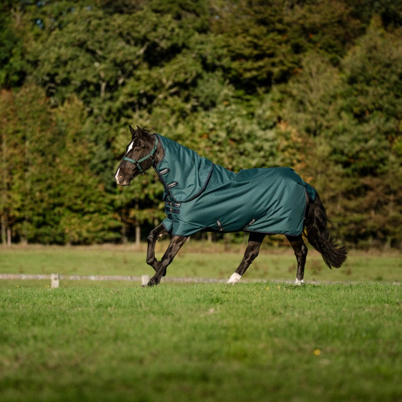 Horseware - Derka zewnętrzna Amigo Ripstop Plus Pony Turnout dynasty green/ marine/ srebrny 200g | - Ohlala