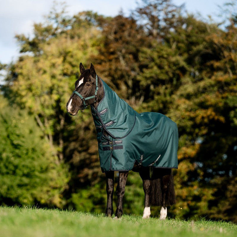 Horseware - Amigo Ripstop Plus Turnout Rug dynasty green/ navy/ silver 100g | - Ohlala