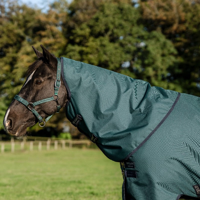 Horseware - Amigo Ripstop Plus Turnout Outdoor Rug dynasty green/ navy/ silver 100g | - Ohlala