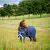 Horseware - Rhino Plus Turnout Rug navy/ titanium grey/ classic blue 450g | - Ohlala