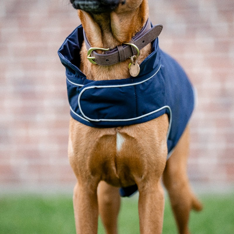 Horseware - Wasserdichte Hundedecke Signature marine | - Ohlala